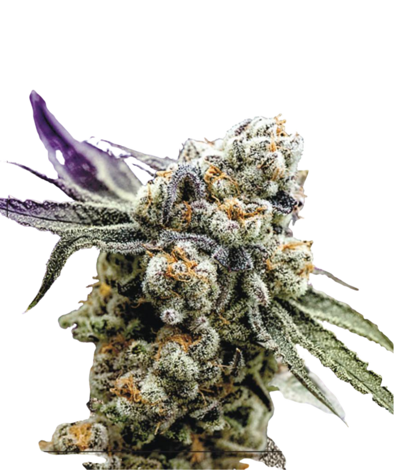 Grapes, Фасовка: 5